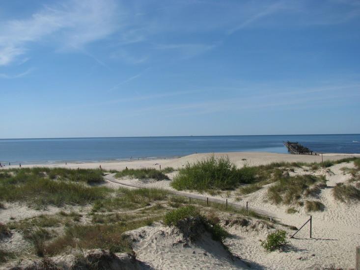 Elija Apartments Palanga Dış mekan fotoğraf